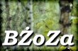 BZoZa-logo
